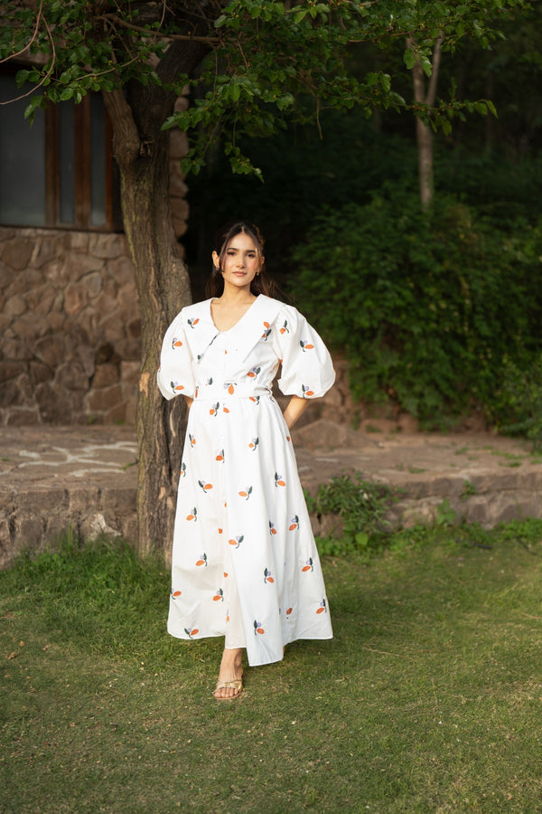 Sunny Sailor-Collar Dress - Licci