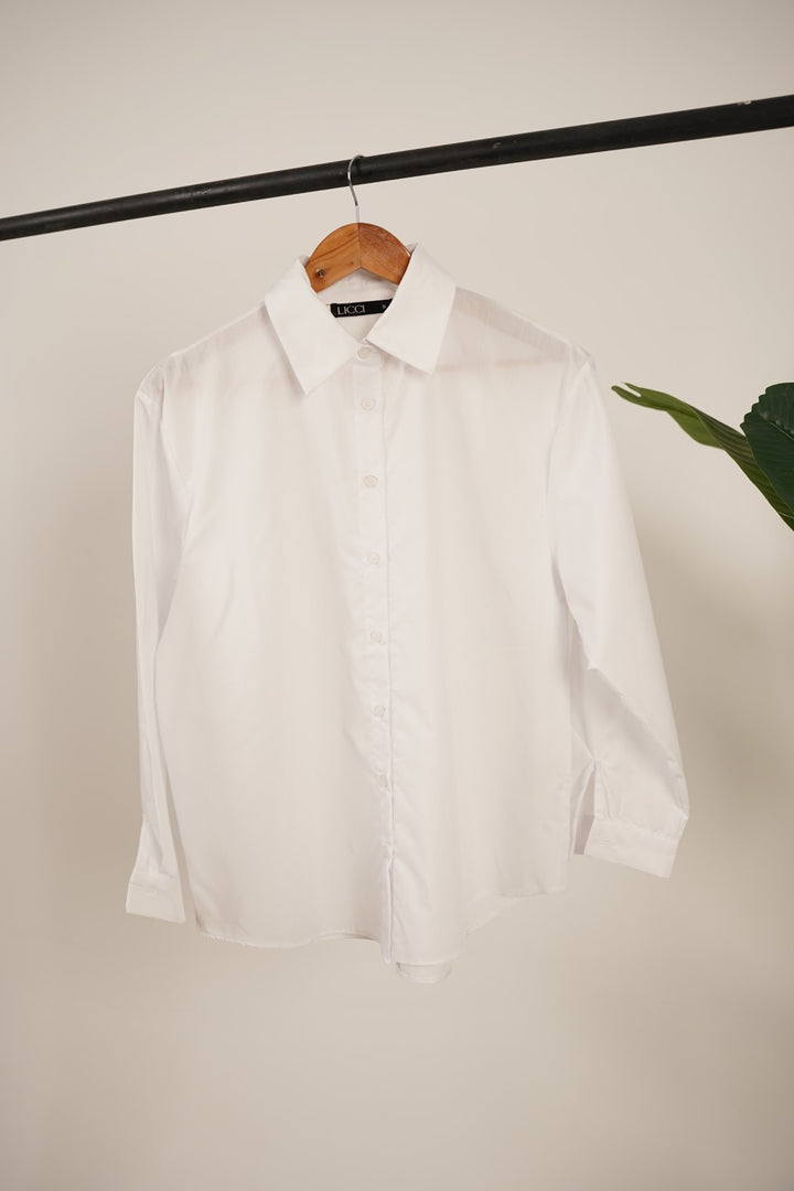 Echelon Classic Button Down Shirt - Licci